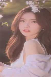 租客偷我内衣刘梅张强 全集